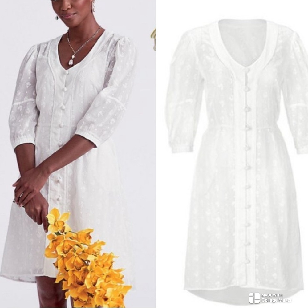 CAbi midsummer embroidered dress